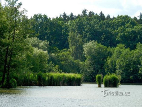 Horní rybník u Svitav - tip na výlet