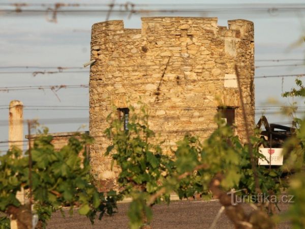 Hrádek Lampelberg – strážce znojemských vinic - tip na výlet