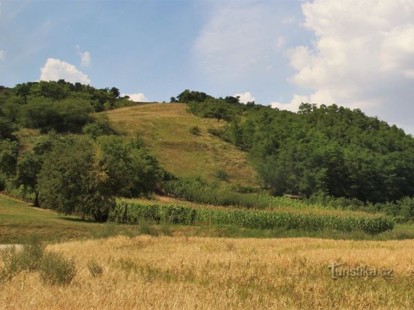 Kobylí - vrch Lácory