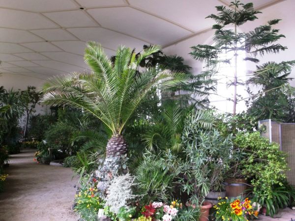 Kroměříž - skleníky v Květné zahrade - tip na výlet