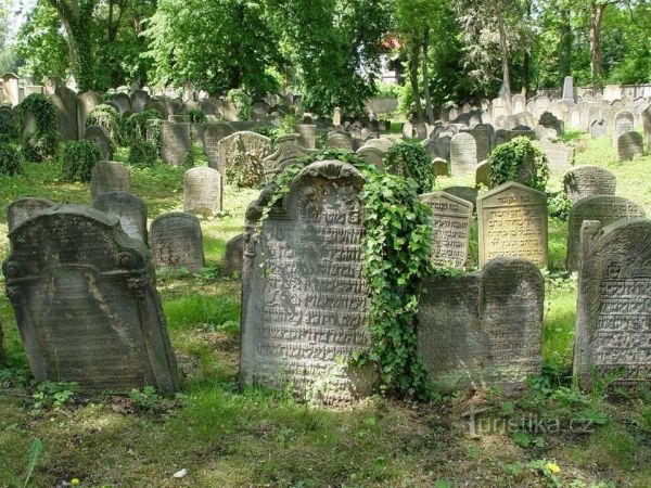 Nový Bydžov - židovský hřbitov - tip na výlet