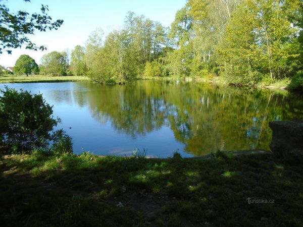 Obecní rybník ve Věkoších