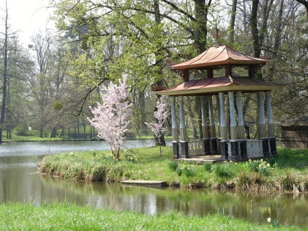 Okolo Divokého rybníka v kroměřížské Podzámecké zahradě