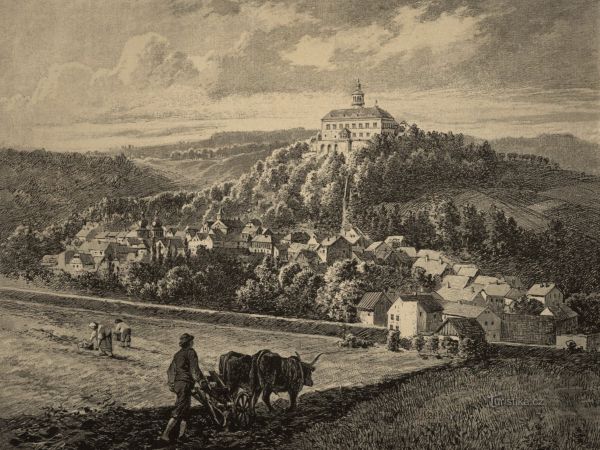 Pěstování rýže na Náchodsku v 16. století