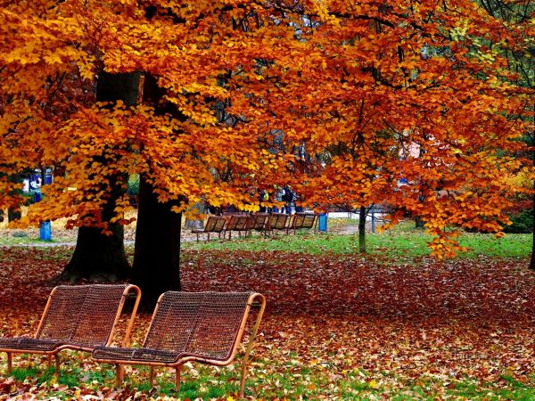 Podzimní procházka parkem Komenského ve Zlíně