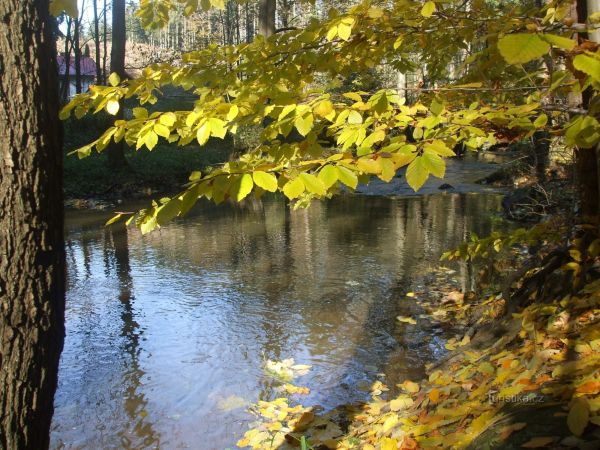 Podzimní výlet údolím Doubravy.