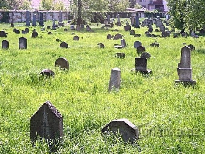 Pohořelice - židovský hřbitov - tip na výlet