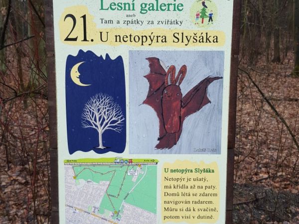 Praha-Klánovice - Lesní galerie - zastávka  21 - netopýr Slyšák
