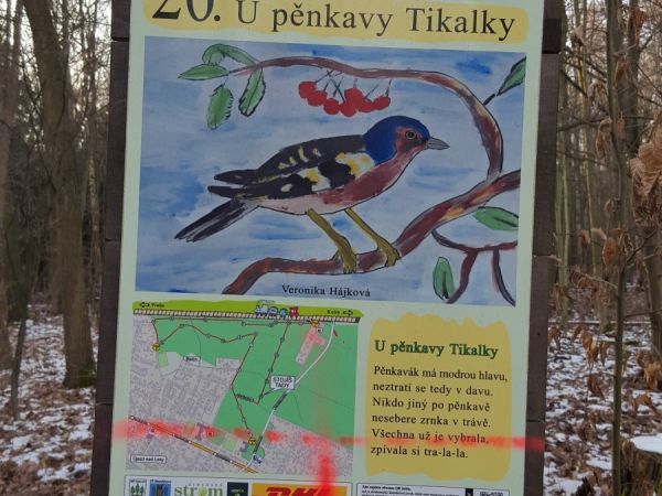 Praha-Klánovice - Lesní galerie - zastávka 26 - pěnkava Tikalka