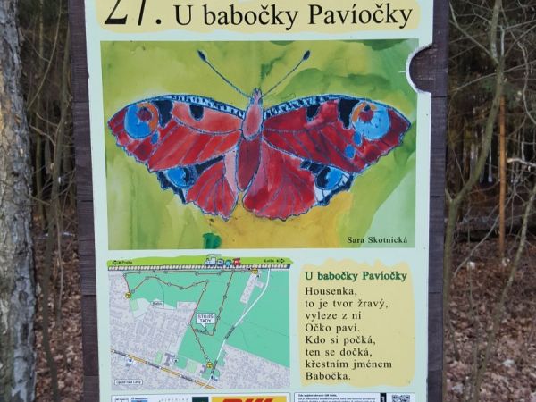Praha-Klánovice - Lesní galerie - zastávka 27 - babočka Pavíočka - tip na výlet