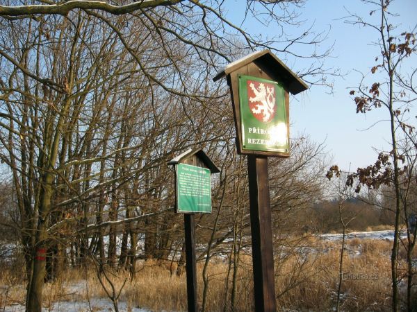 Přírodní rezervace Luňáky (u Klatov) - tip na výlet