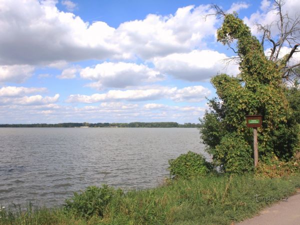 Ptačí oblast Jaroslavické rybníky - tip na výlet