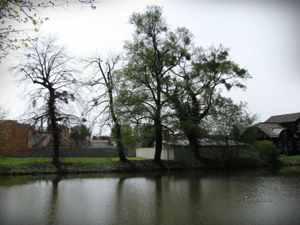 Relaxace na Dlouhém rybníce v Podzámecké zahradě v Kroměříži - tip na výlet