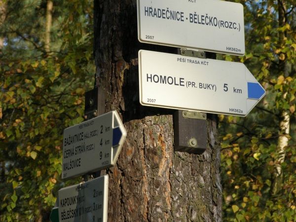 Rozcestí Hradečnice-Bělečko - Hradecké lesy