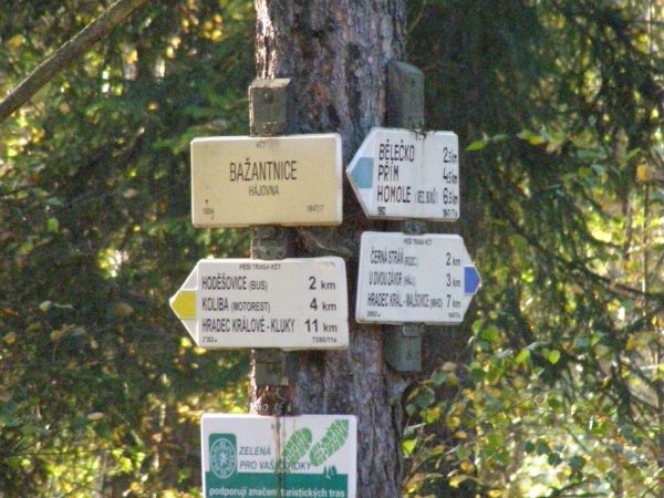 Rozcestí u Bažantnice - Hradecké lesy - tip na výlet