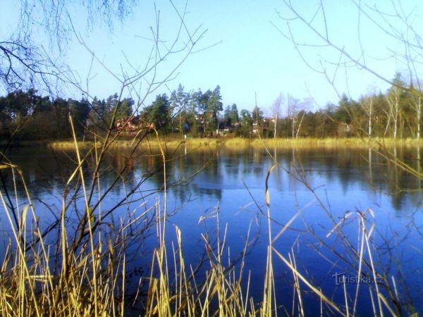 rybník Cikán - Hradecké lesy