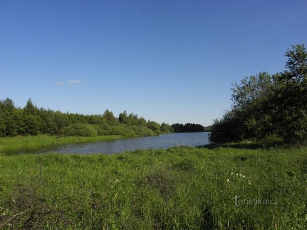 Rybník Křižovník u Křižanova
