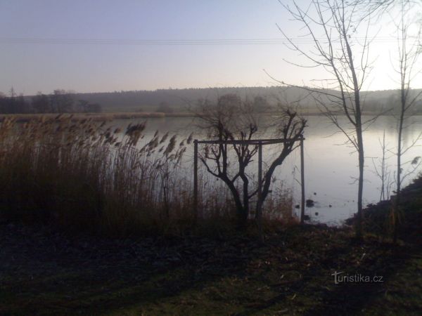 rybník Roudnička - Hradecké lesy