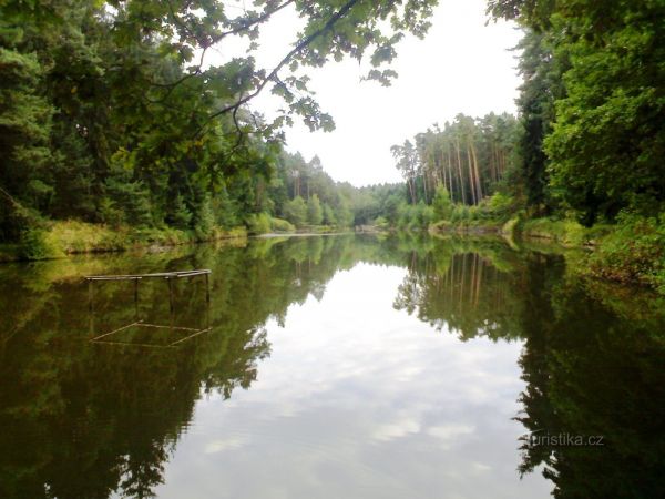 rybník Šanovec - Hradecké lesy