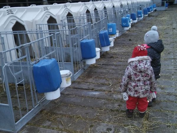 S dětmi za zvířátky - Doubravský dvůr u Litovle