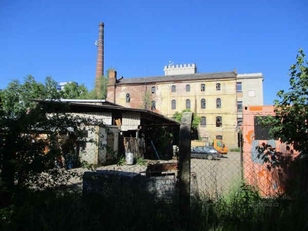 Sehnoutkovy mlýny, tkalcovna a přádelna v Černožicích nad Labem