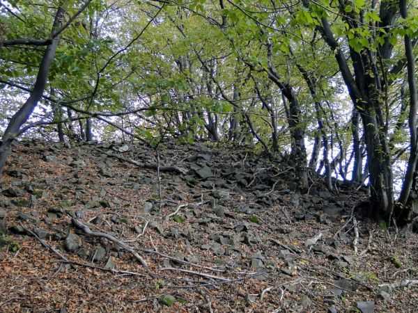 Staré Hradisko - Keltské oppidum - Malé Hradisko - archeo