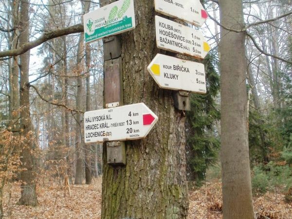 turistické rozcestí Borkovník - Hradecké lesy
