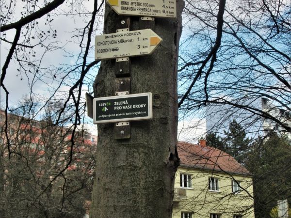 Turistické rozcestí Kohoutovice-hájenka