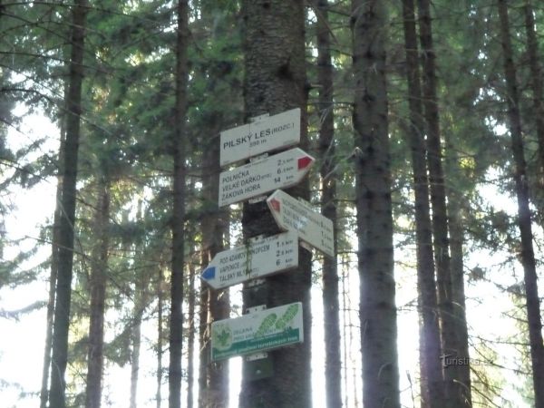 turistické rozcestí Pilský les - tip na výlet