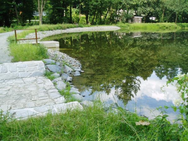 Valšovský  rybník - tip na výlet