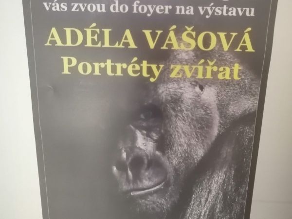 Výstava Adéla Vášová - Život zvířat - Sokolov