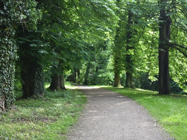 Zámecký park Choltice