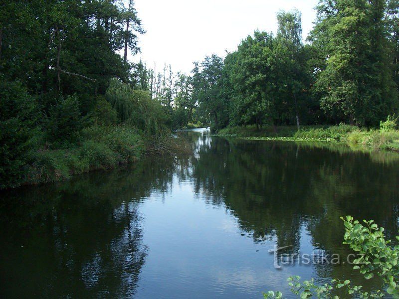 Zámecký rybník v Blatné