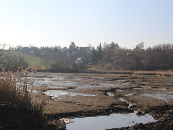 Žebětínský rybník - přírodní památka - tip na výlet