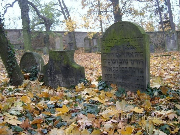Židovský hřbitov - tip na výlet