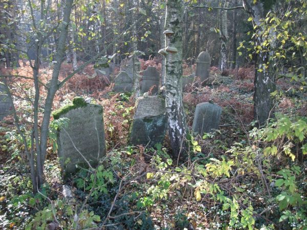 Židovský hřbitov v Lomničce - tip na výlet