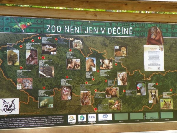 Zoo děčín - tip na výlet