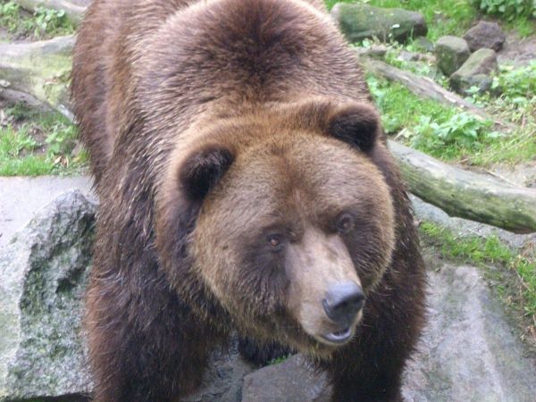 Zoo Děčín jedinečný výlet za zvířátky a nejen to - tip na výlet