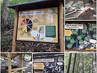Lesní naučná stezka ( 500 m od chaloupky) - Hostice