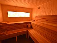 sauna - vila k pronájmu Jindřichov