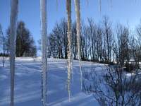Zima v Kunčicích zadní zahrada a louka - srub k pronajmutí