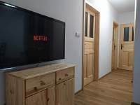 Televize - Skylink, Netflix, Youtube - pronájem apartmánu Branná