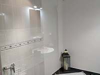 koupelna se sprchovým koutem - pronájem apartmánu Rýmařov - Edrovice