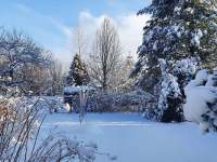 zahrada v zimě - Bělá pod Pradědem - Adolfovice