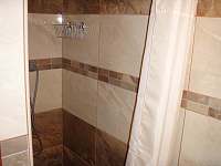 Koupelna se sprchovým koutem - Vrbno pod Pradědem - Železná