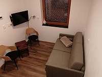 Pohovka v ložnici s televizí - pronájem apartmánu Dolní Morava