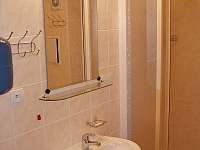 Koupelna-sprchový kout, umyvadlo, wc - apartmán ubytování Karlov pod Pradědem