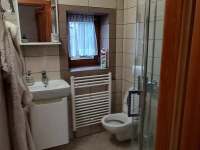Chata U LADIKA - koupelna se sprchovým koutem a WC - Karlovice - Zadní Ves