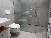 Koupelna s WC a sprchovým koutem - apartmán ubytování Janov nad Nisou - Malý Semerink