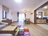 Apartmány na Krásné Vyhlídce - apartmán - 13 Liberec - Horní Hanychov